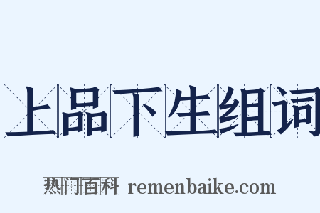 上品下生组词是什么意思的图片